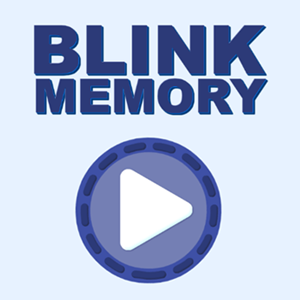 Blink Memory.