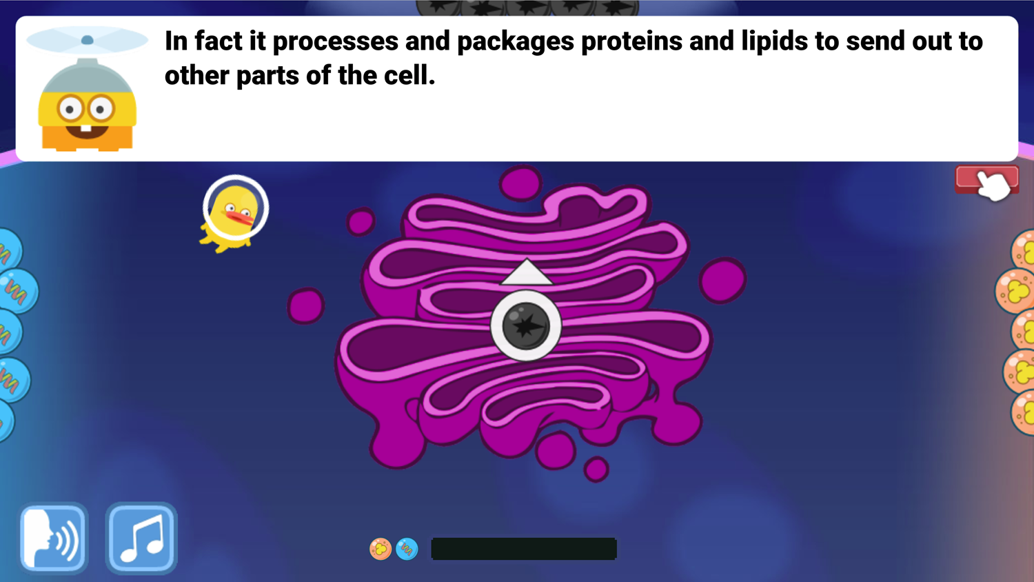 DocDuck Parts of the Cell Game Golgi Apparatus Packages Proteins and Lipids Screenshot.