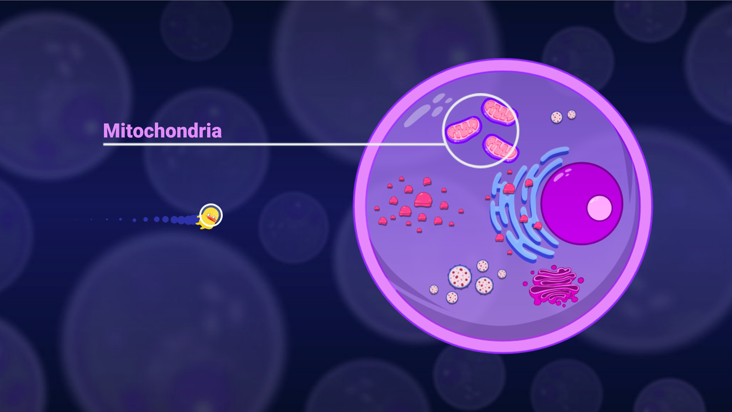 DocDuck Parts of the Cell Game Mitochondria Screenshot.