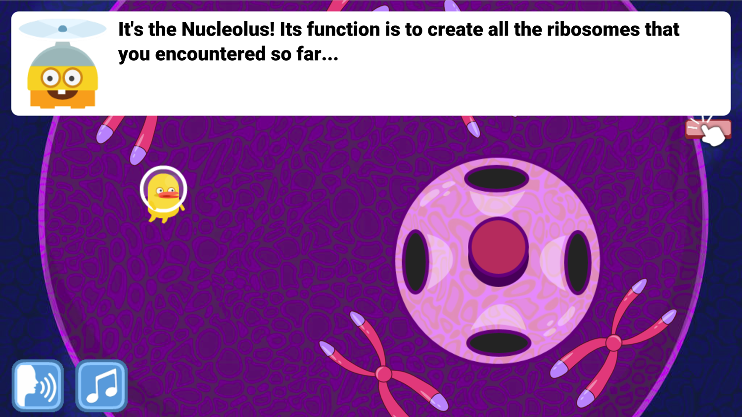 DocDuck Parts of the Cell Game Nucleolus Creates Ribosomes Screenshot.