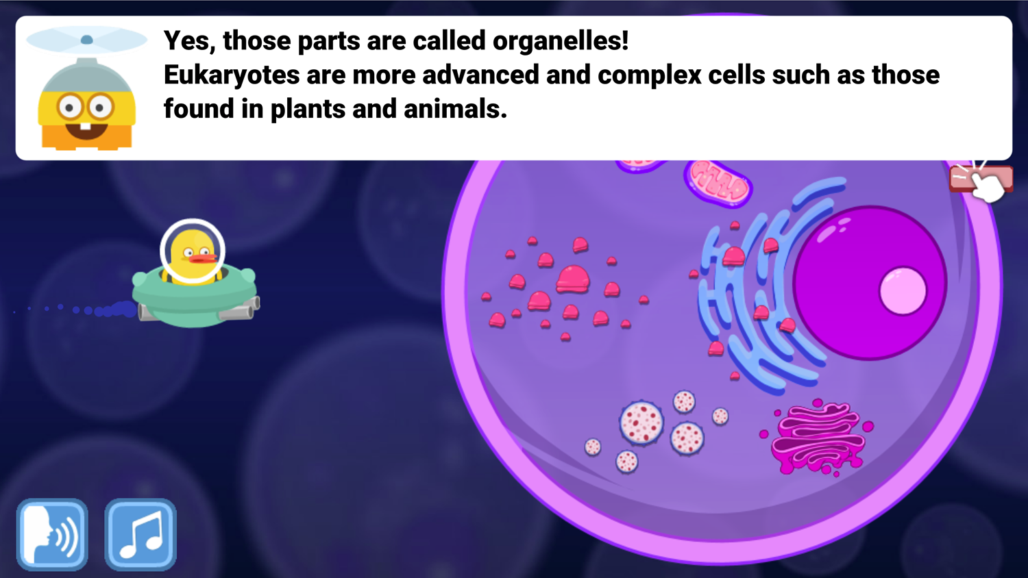 DocDuck Parts of the Cell Game Organelles Screenshot.