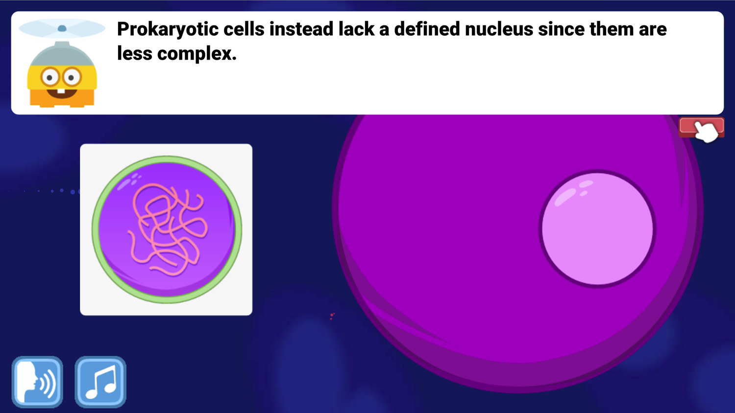 DocDuck Parts of the Cell Prokaryotic Cells Lack a Nucleus Screenshot.