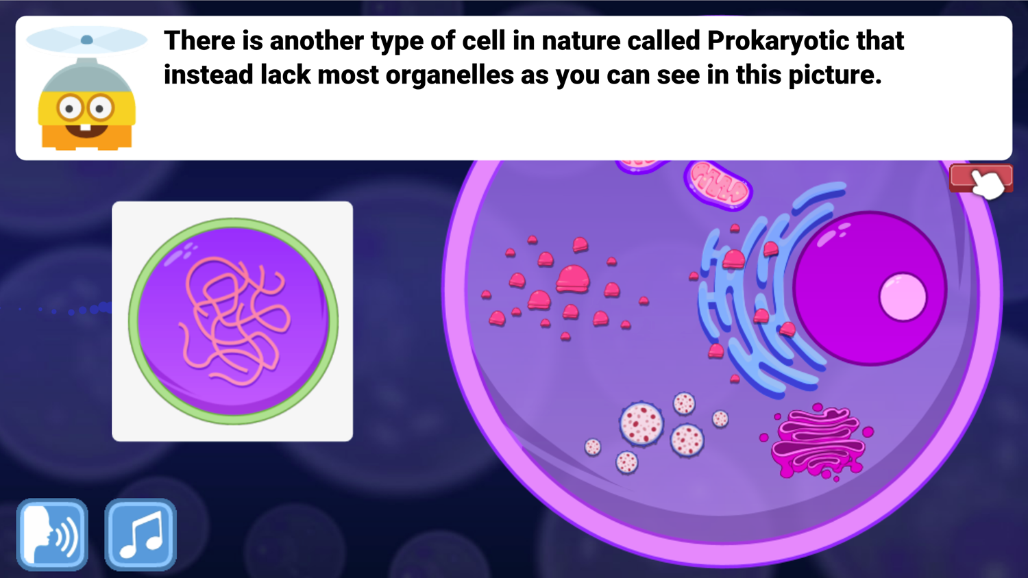 DocDuck Parts of the Cell Game Prokaryotic Cells Screenshot.