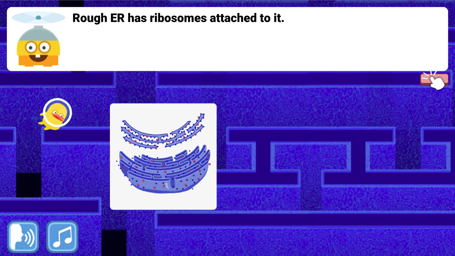 DocDuck Parts of the Cell Game Rough E.R. Screenshot.