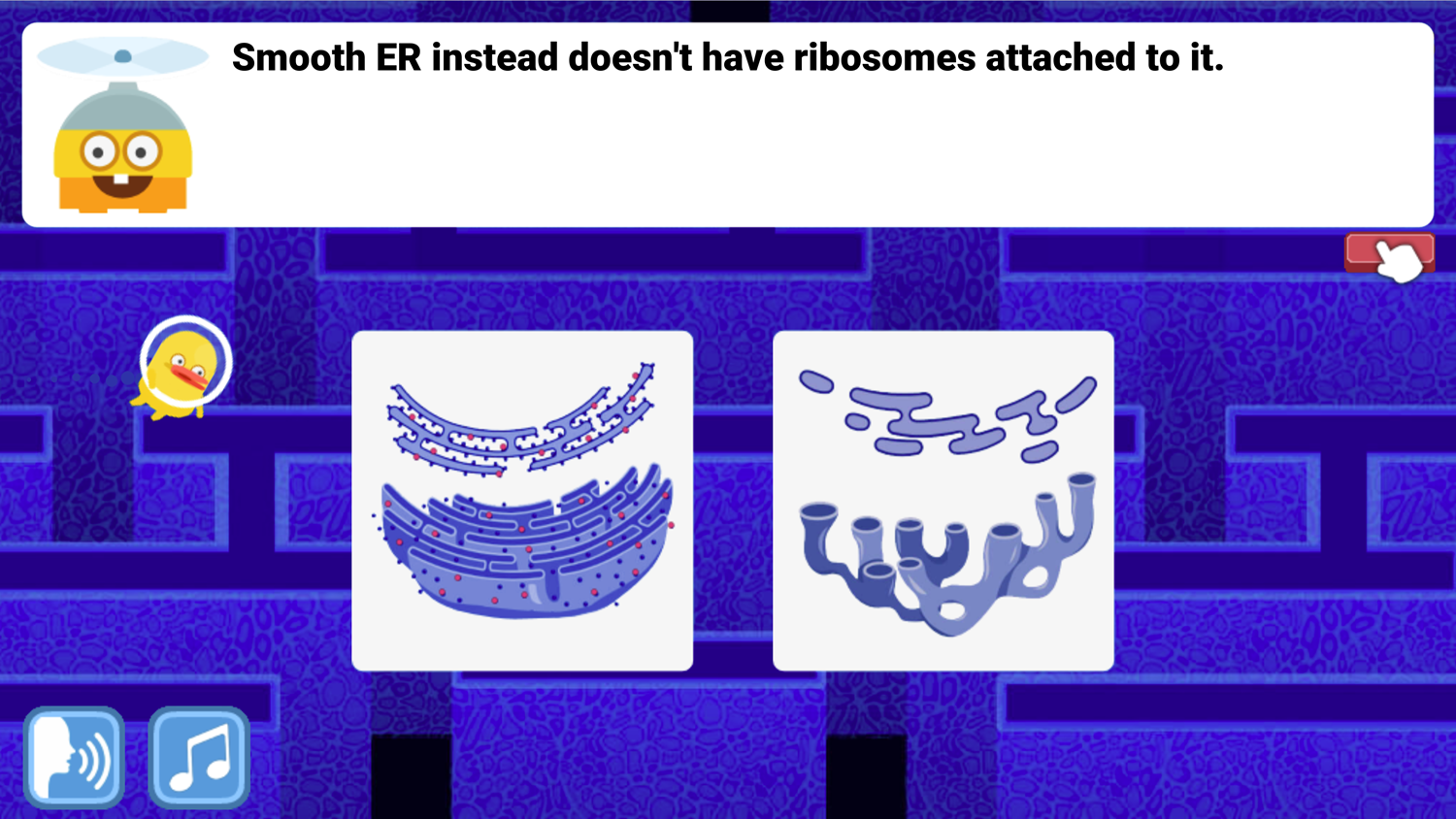 DocDuck Parts of the Cell Game Smooth E.R. Screenshot.