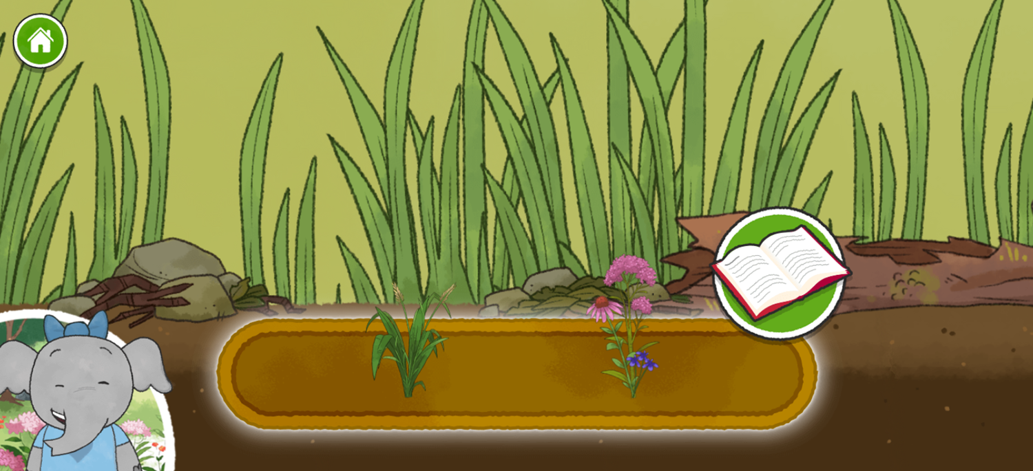 Elinor Wonders Why Elinor Backyard Life Game Flower Details Screenshot.