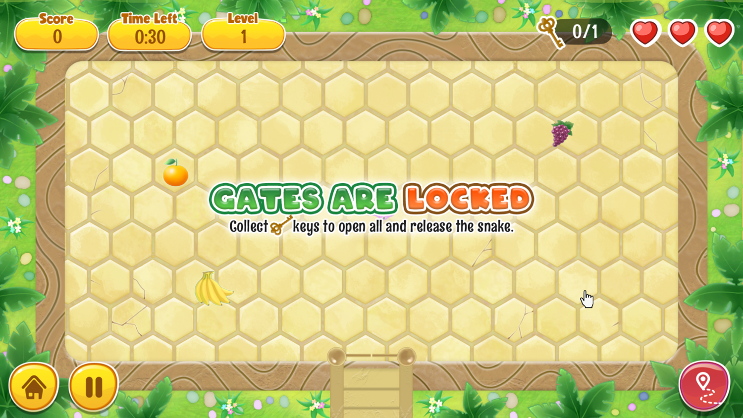 Feed The Snake Game Level Start Screenshot.