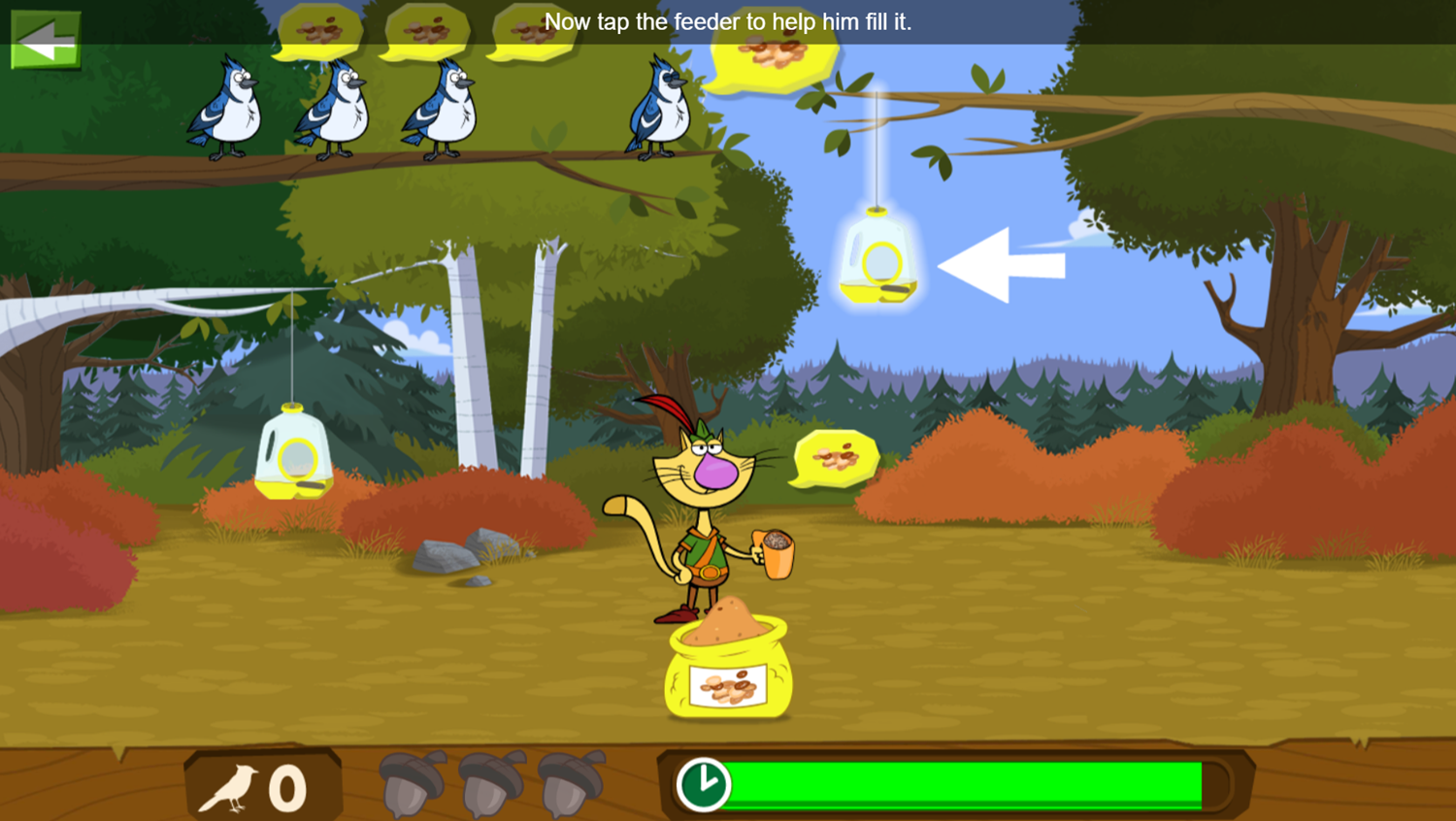 Nature Cat Fine Feathered Feast Game Instructions Screenshot.