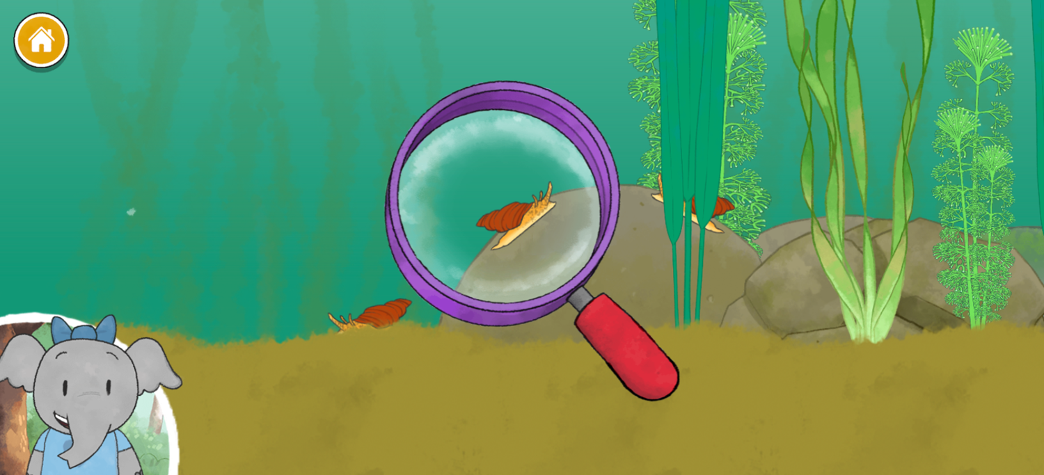 Pond Life Game Inspect Animal Screenshot.