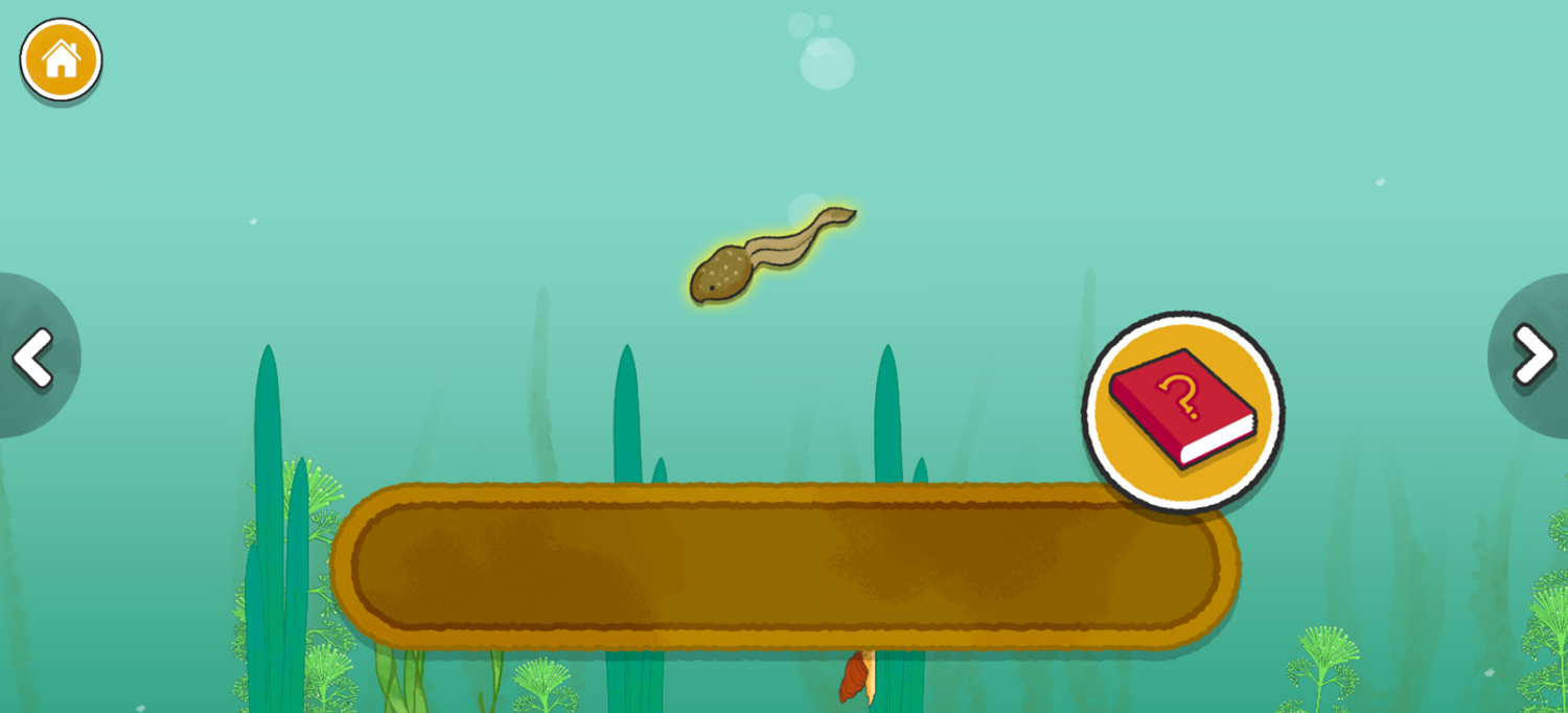 Pond Life Game Place Animals Screenshot.