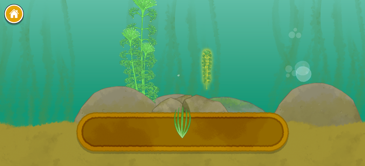 Pond Life Game Place Plant Screenshot.