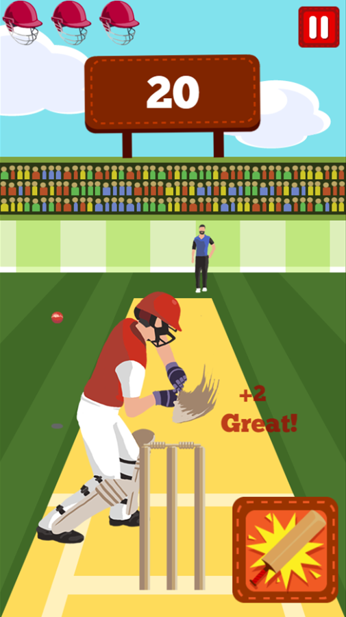 Pro Cricket Champion Game Great Swing Screenshot.