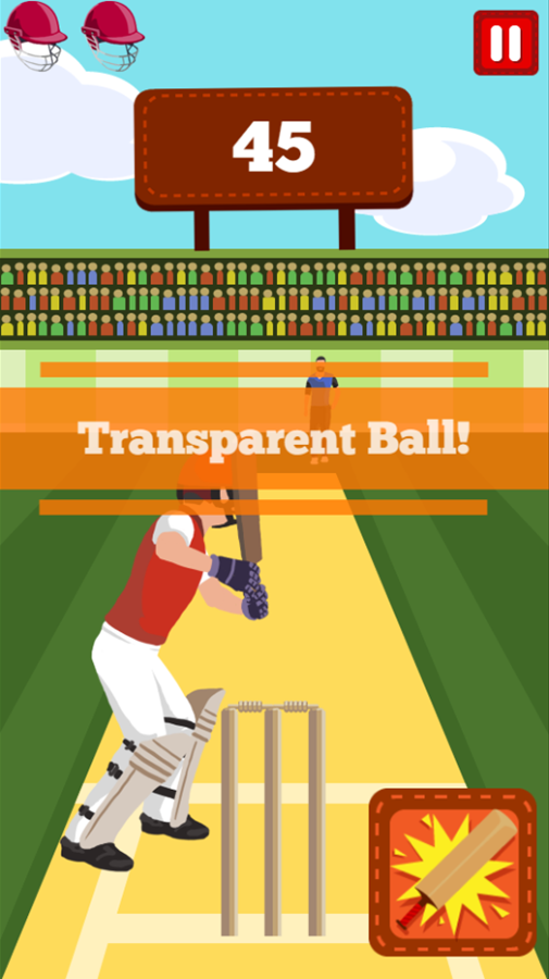 Pro Cricket Champion Game Transparent Ball Screen Screenshot.