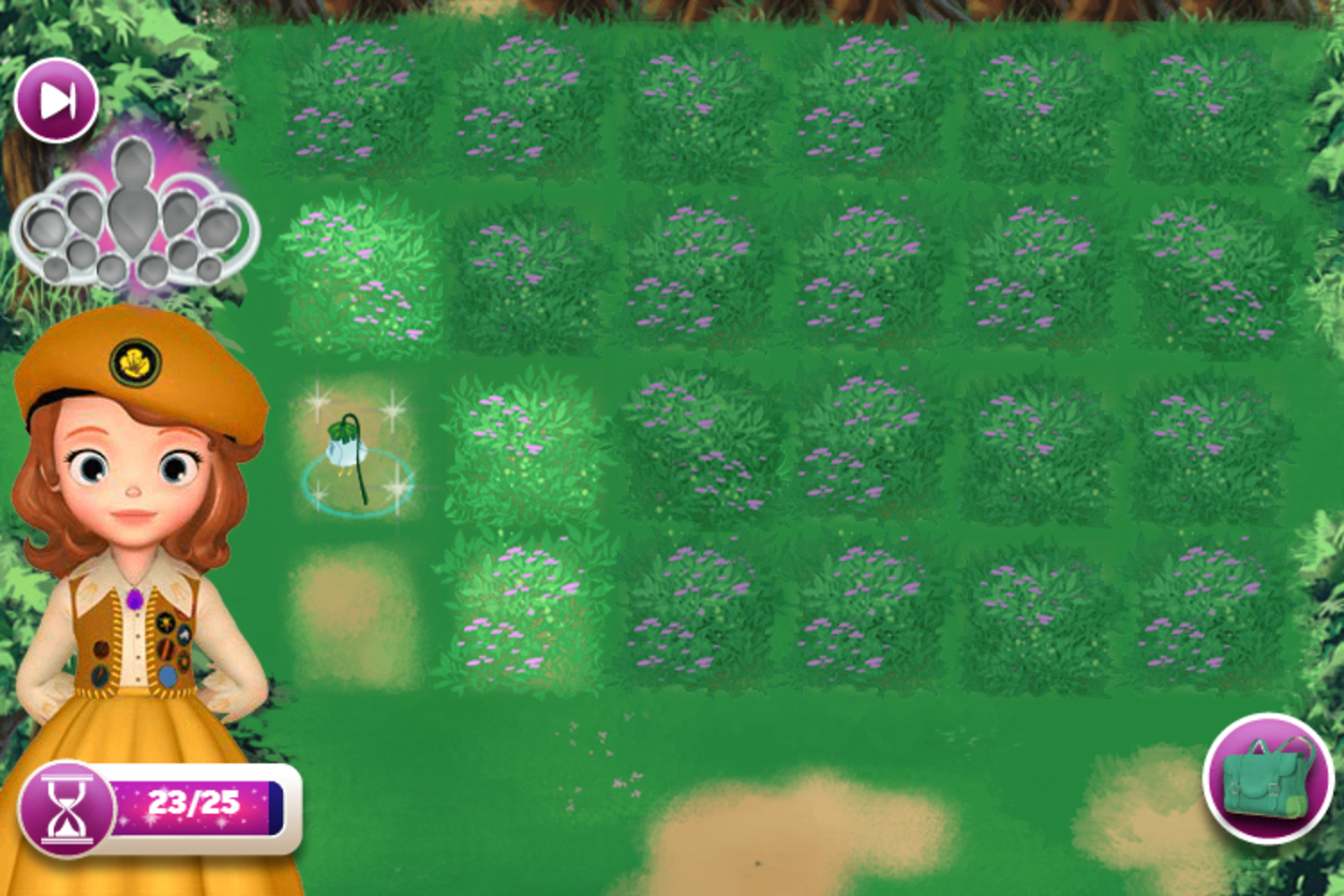 Sofia the First The Buttercups Forest Adventure Game Start Screenshot.