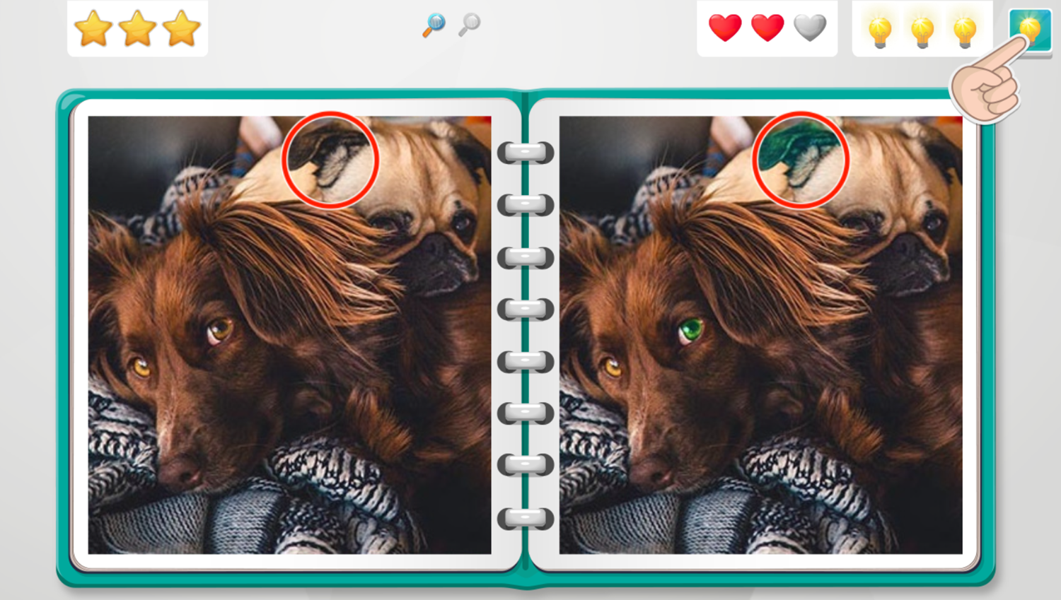 Spot the Difference Game Play Tips Screenshot.