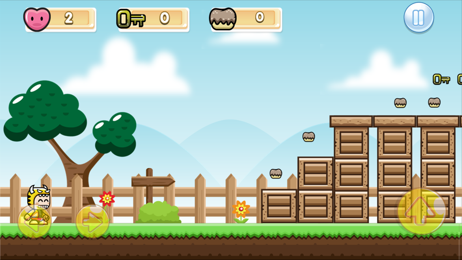 Tora Boy Adventure Level Start Screenshot.