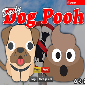 Daily Dog Pooh.