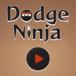 Dodge Ninja.