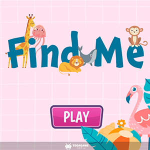 Find Me Game.