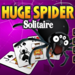 Huge Spider Solitaire game.