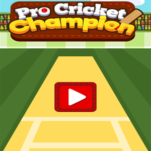 Pro Cricket Champion game.