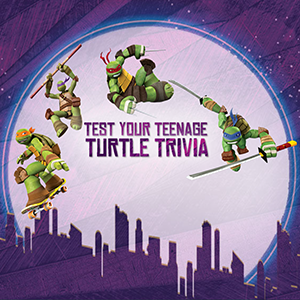 TMNT Test Your Teenage Turtle Trivia.