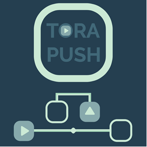 Tora Push game.