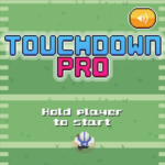 Touchdown Pro game.