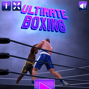 Ultimate Boxing.