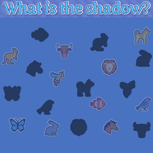 What is the Shadow game.