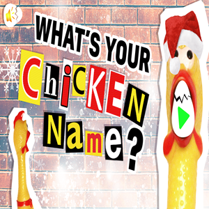 Whats Your Chicken Name game.