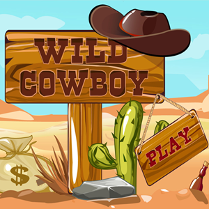 Wild Cowboy Game.