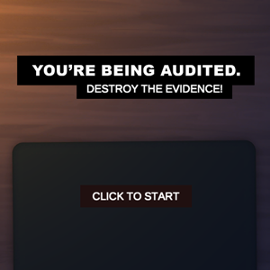 You're Being Audited.